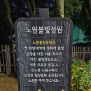 초롱박카페 | 노원불빛정원 태릉 화랑대역 경춘선숲길갤러리