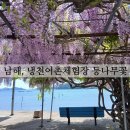 남해 냉천어촌체험장 등나무꽃 바다와 어우러진 인생샷명소