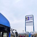 야생화길 | “2025 드림파크 국화축제” 방문 후기 — 인천 서구 야생화단지 가을꽃 산책길