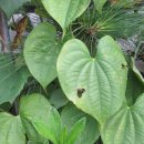 유량1교 이미지