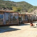 정들고펜션2 이미지