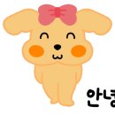 율무네애견 이미지