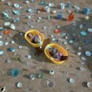 퐁당(Pong dang) 이미지