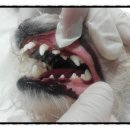 토곡동물병원 이미지