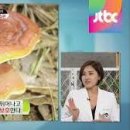 영지 이미지