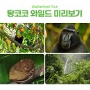 마나도 7월 커플여행 3박5일 | 급하게 여행계획 짜는분들 주목!
