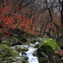 산중문답 이미지