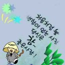 신대1리 이미지