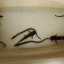 남양호 상류 이미지