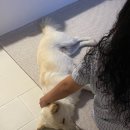 사라보카 이미지