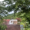 성림포레스트 | 사송 숲뷰 포레스트뷰 카페 성림목장
