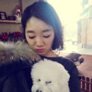 레이지포 | 2014.01.30. 까치까치 구정연휴 첫날/애견카페레이지포/컬러인커피