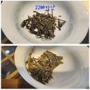 대운차향 경부선 다회 후기-586세대와 MZ세대가 즐기는 차이야기~
