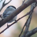 떡볶이정원 이미지