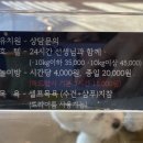 만배네 애견카페 이미지