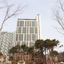 목동초등학교(병설포함) 이미지