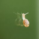 마산합포노인종합복지관 이미지