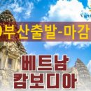 (주)비경투어여행사 이미지