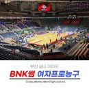 서경주 실내체육관 1코트 | 부산 실내 데이트 BNK썸 여자프로농구 사직실내체육관 경기직관 및 푸드코트 후기