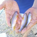 모후농장 이미지