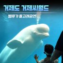 (주)해양약품 | 경남 거제) 거제씨월드 할인 공연시간, 거제도 아이와 실내 가볼만한곳