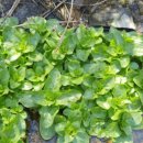 삼산농장 이미지