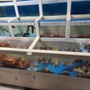 동해활어촌회포차 이미지