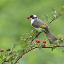 북부천변 이미지