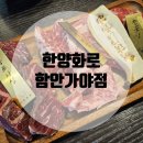 한양화로 함안가야점