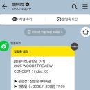 봄이야 놀자 | 2025-11-4주 / 우즈 프리뷰 인덱스콘서트 후기