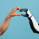 CW-1457-01 이미지