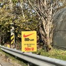 강릉농협주유소 이미지