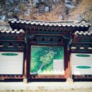 녹색농심인삼마을 이미지