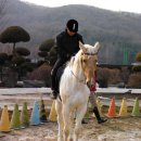 유진레져 Daum카페