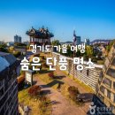 실개천수산 | 경기도 숨은 단풍 명소 BEST 3! 아는 사람만 간다는 '비밀의 정원' 가을 산책