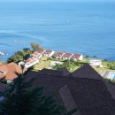 대아울릉리조트펜션 네이버블로그