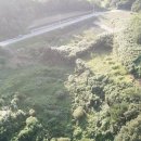 온정면사무소 이미지