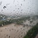 수내동파크골프장 이미지