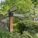 막골경로당 티스토리