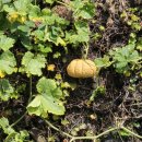 신창리경로당 이미지