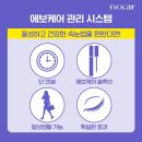 우미K뷰티 네이버블로그