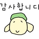 마리누스 이미지