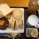 아라파파 이미지