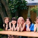 싸인아이 이미지