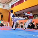 호국태권도체육관 이미지