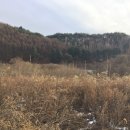 강림면343 이미지