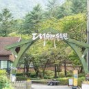 대아수목원&대아호 이미지