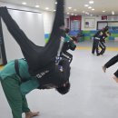 대룡초등학교 | 대전동구합기도 아이들의 성장을 책임지는 무무관 화랑합기도 후기