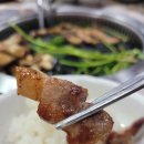 진잠로 | [대전/유성] 원내동 맛집, 미나리와 함께 먹는 흑돼지 맛집 또먹돼지 후기