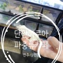 단짠아쿠아 평화점 | 전주 단짠아쿠아 삼천점 파충류 물고기 곤충 카페 조카와 방문 후기